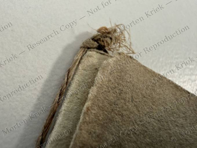 Manuscript detail